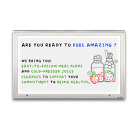 Extreme WeatherPlus™ Extra Large Outdoor Enclosed White Dry-Erase Markerboard + LED Lights 15+ Sizes