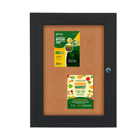 SwingCase Outdoor Enclosed Poster Display Case  22 x 28 | Single Locking Door in Four Metal Cabinet Finishes