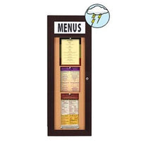 Outdoor Enclosed Menu Cases with Header & LED Lights (Single Door)